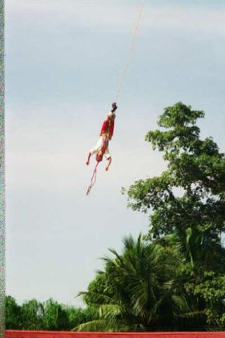   disk7/08_07X.JPG  