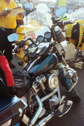 BL_0005.jpg