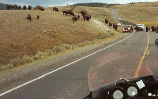 BL_0017.jpg