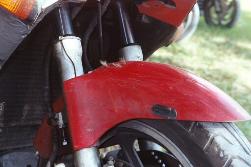BL_0029.jpg