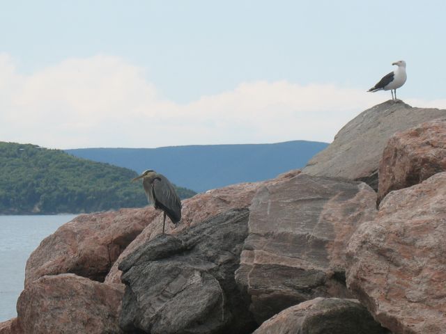 2009-07-pei-vaca-340.JPG