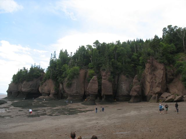 2009-07-pei-vaca-600.JPG