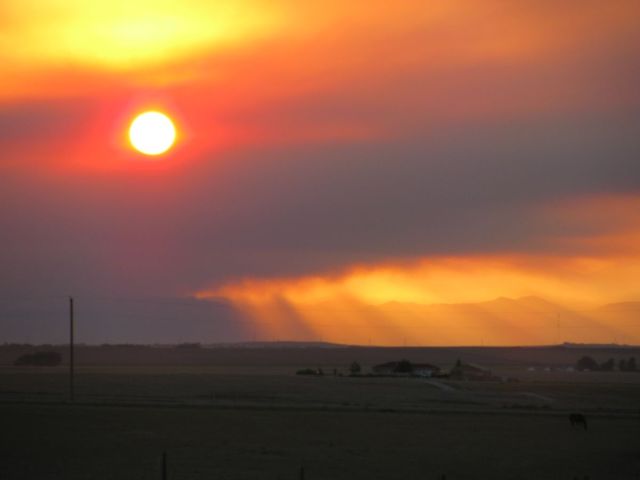 2010-09-co-3400.JPG